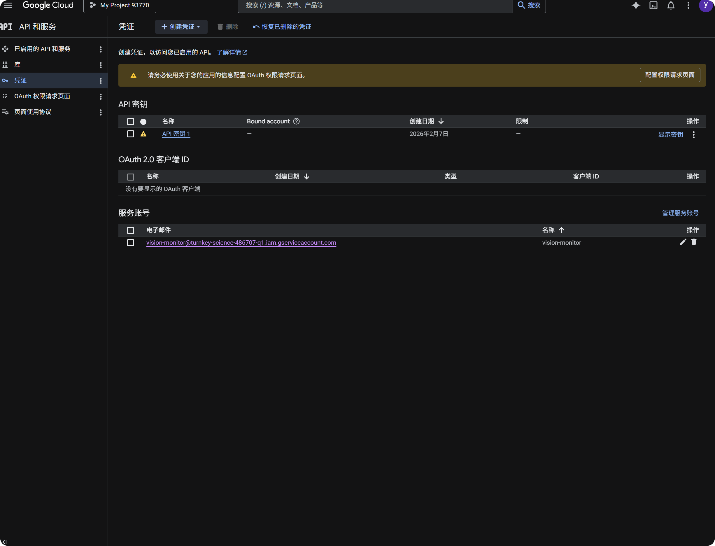 Google API key and service account